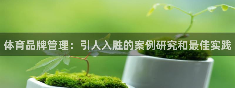 必一体育sport装