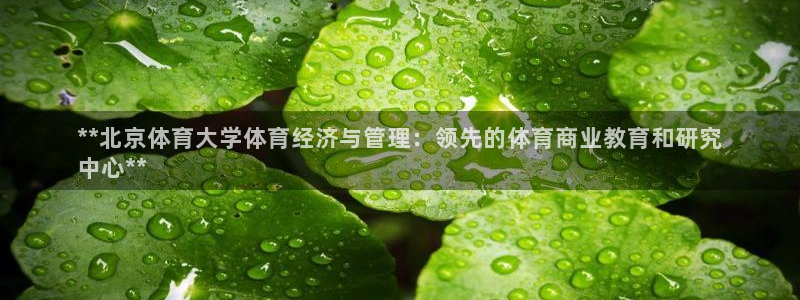 必一体育运动app下