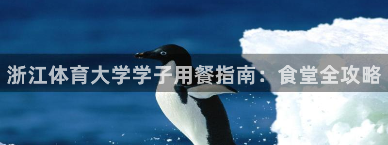 必一体育游戏特色：浙