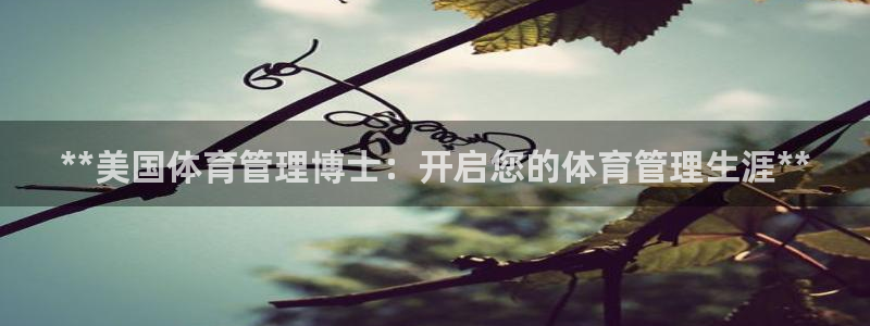 必一体育官方网站入口