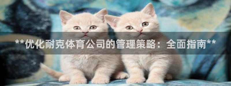 必一体育最新官网入口