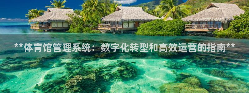 必一体育APP下载安