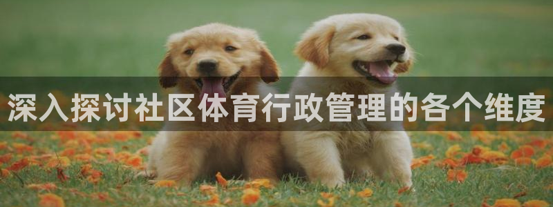 必一体育登录入口AP