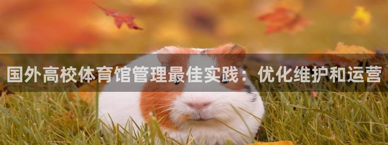 必一体育sport官