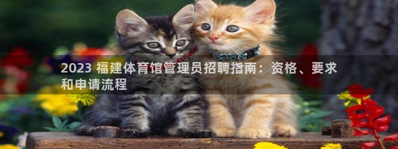 必一运动 b 体育素