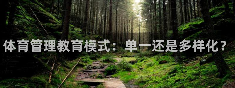 必一体育app下载装