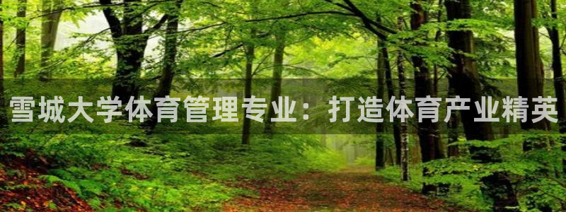 必一体育官方入口：雪