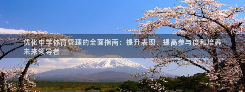 必一体育官方网站入口