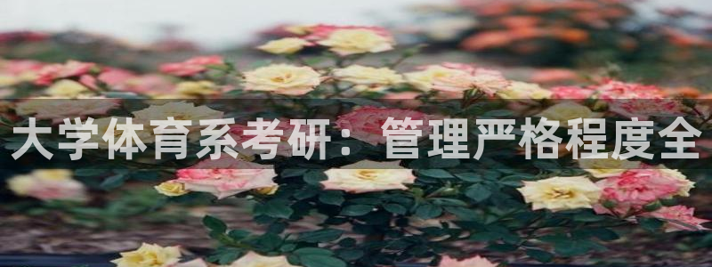 必一体育网站：大学体