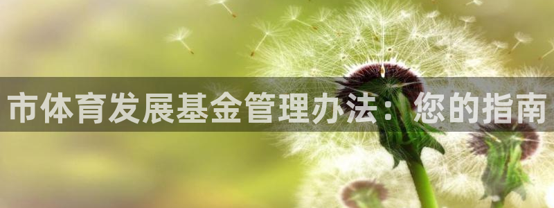 必一体育游戏特色：市