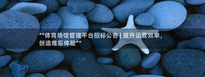 必一体育sport：