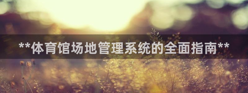 必一体育旧版：**体