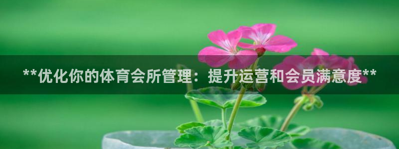 必一体育服下载最新版