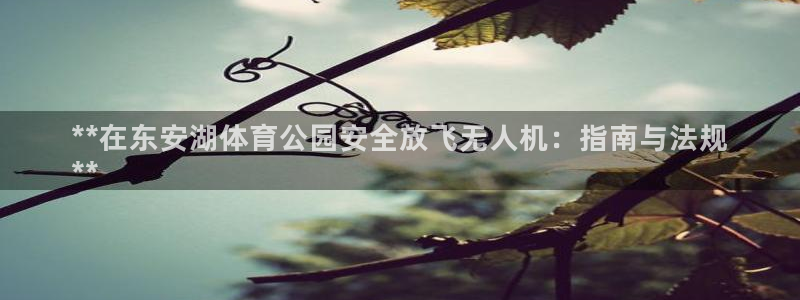 必一体育：**在东安