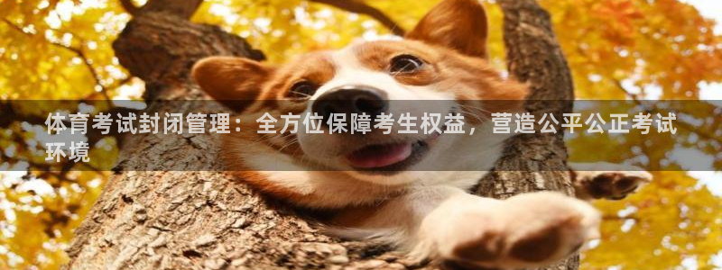 必一体育app下载安