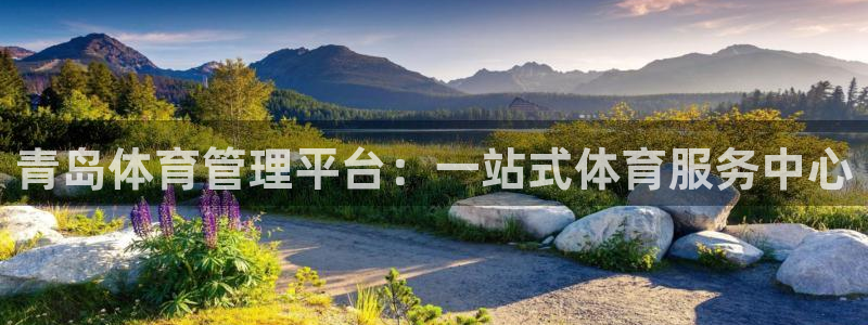 必一体育官网网址：青