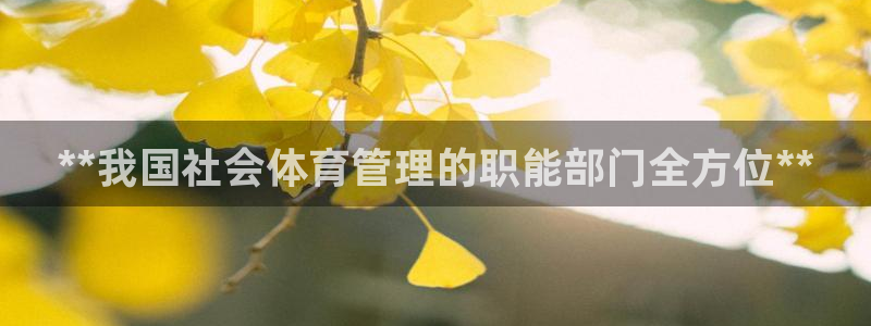 必一体育下载一样吗：