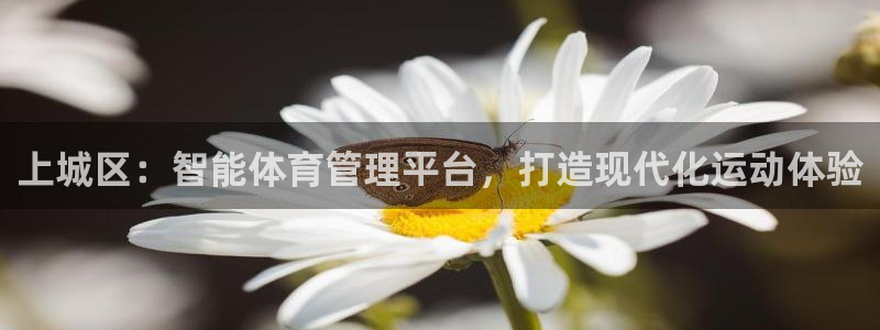 必一体育官网入口：上