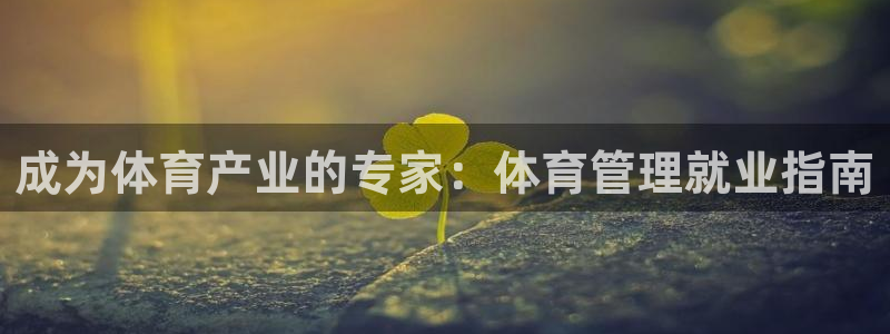 必一体育游戏玩法：成