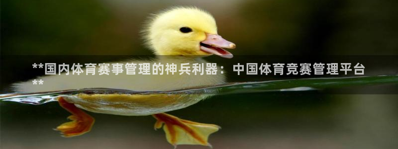 必一体育网页登陆：*