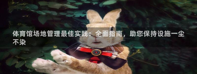 必一体育下载意思：体