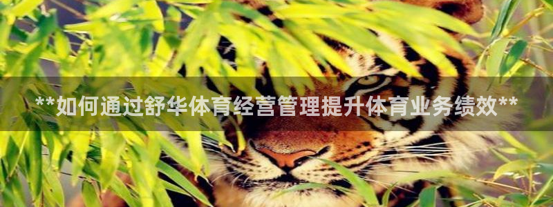 必一运动体育官网下载