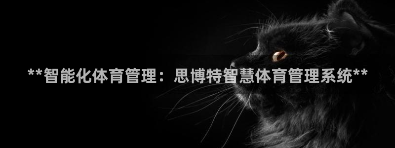 必一体育app官方网