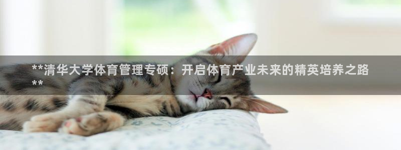 必一运动听的歌：**