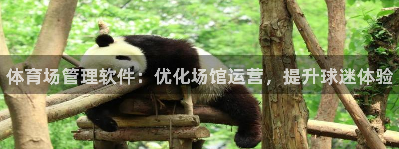 必一运动体育官网下载