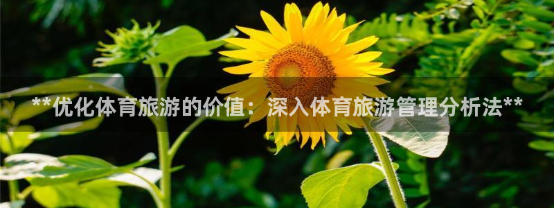 必一体育下载移动版：