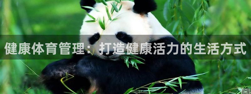 必一体育全站在线登录