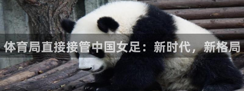 必一体育最新官网入口