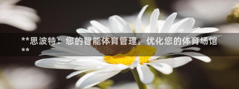 必一体育官方app下