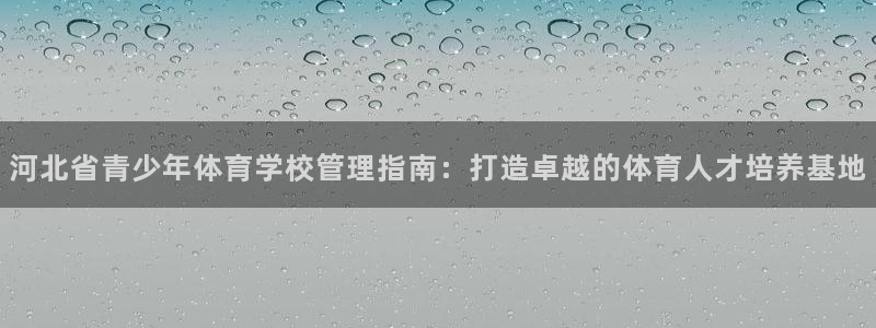 必一体育sport官