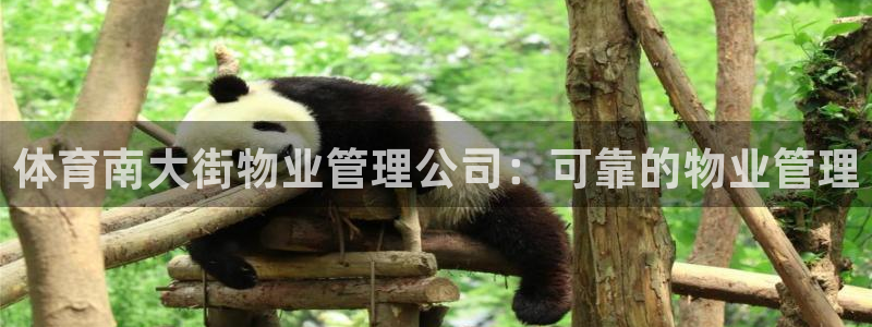 必一体育sport网