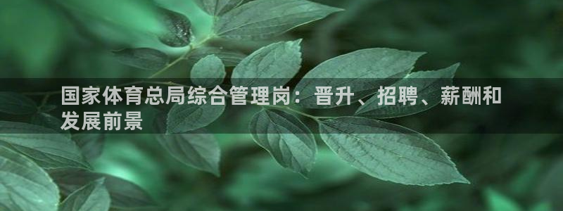 必一体育sport官