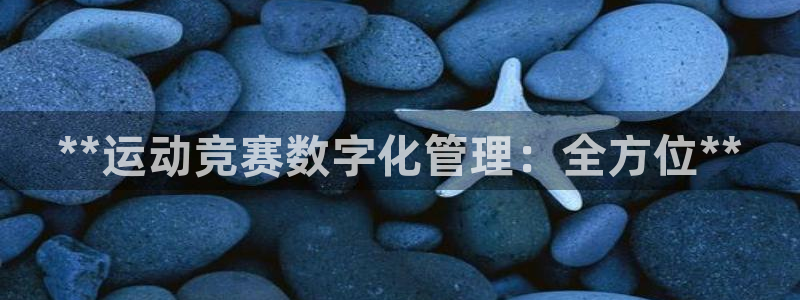 必一体育下载app：