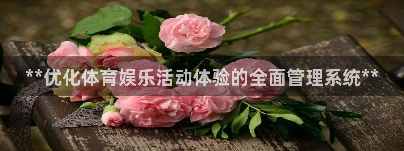 必一体育下载一样吗：