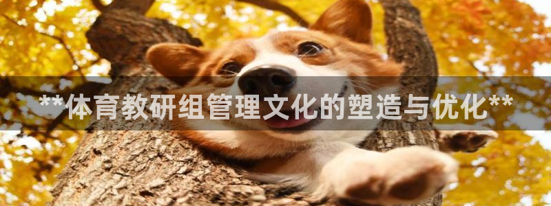 必一体育下载意思：*