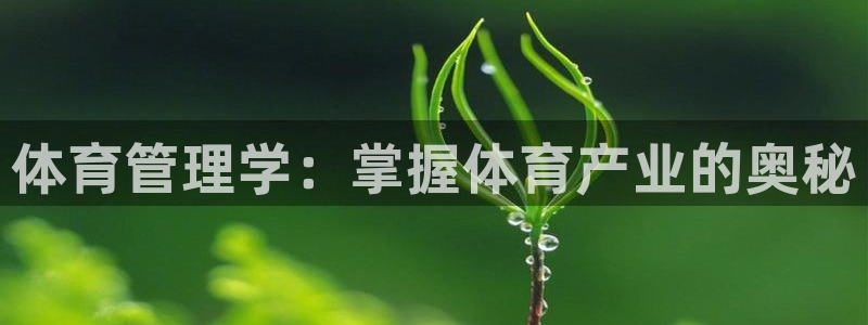 必一体育全站在线登录