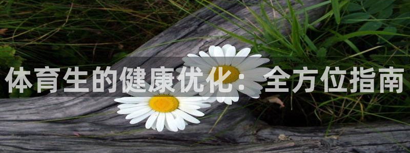 必一体育流水线是什么