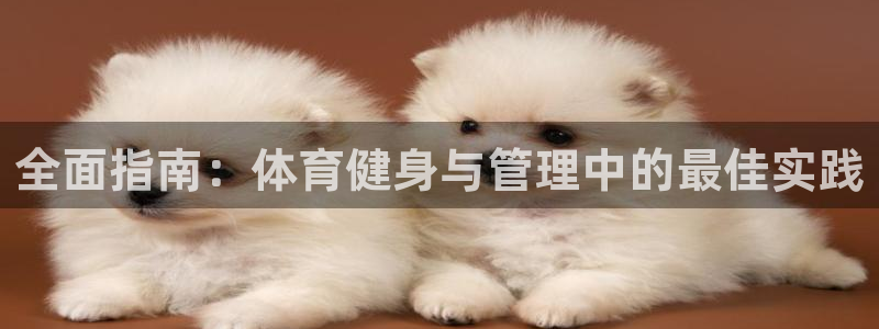 必一体育最新官网入口