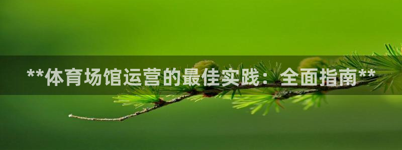 必一体育登录APP下