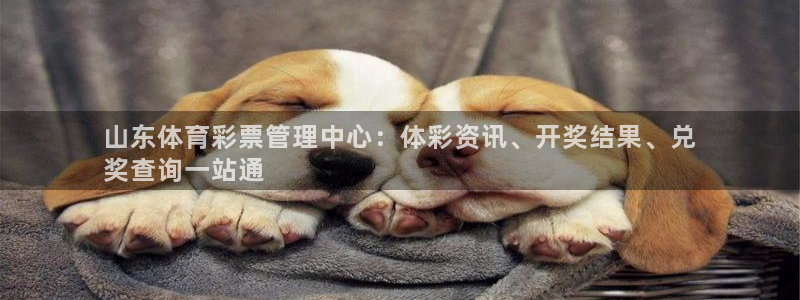 必一体育app官方下