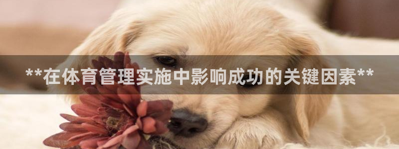 必一运动验证码：**