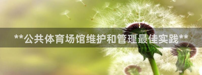 必一体育sport官