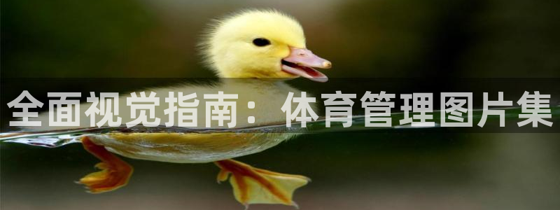 必一体育app下载最