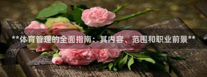 必一体育登陆：**体