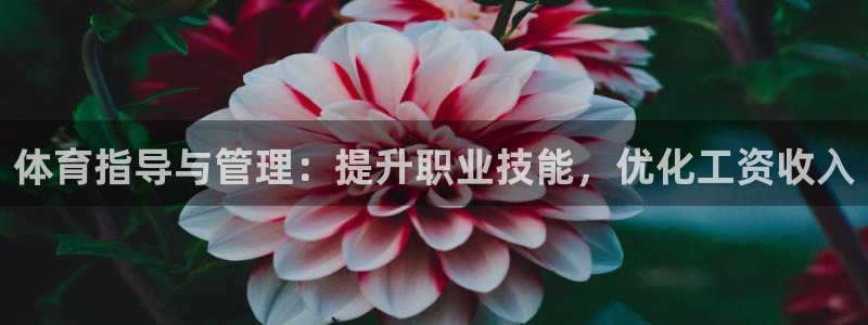 必一体育验证码：体育