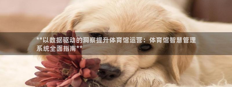 必一体育sport官